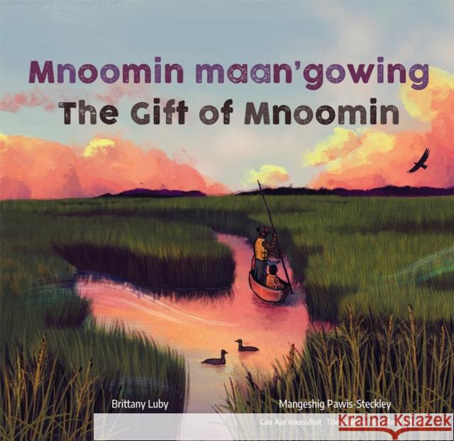 Mnoomin Maan\'gowing / The Gift of Mnoomin] Brittany Luby Joshua Mangeshig Pawis-Steckley Mary Ann Corbiere 9781773068466 Groundwood Books