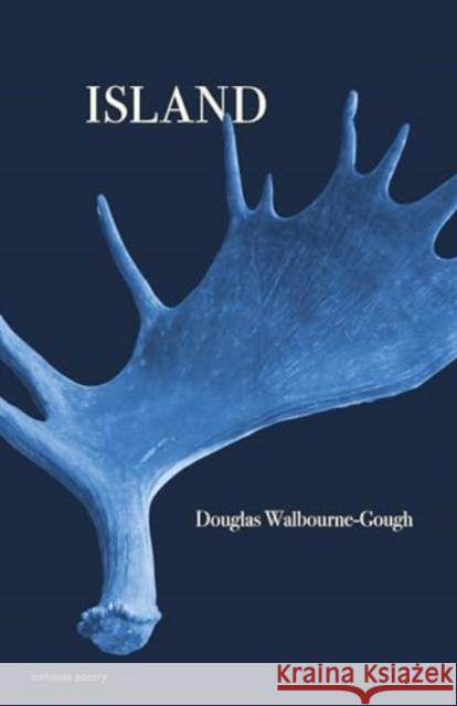 Island Douglas Walbourne-Gough 9781773103396 Goose Lane Editions