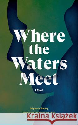 Where The Waters Meet: A Novel Stéphanie Boulay, Ghislaine Lefranc 9781773370347