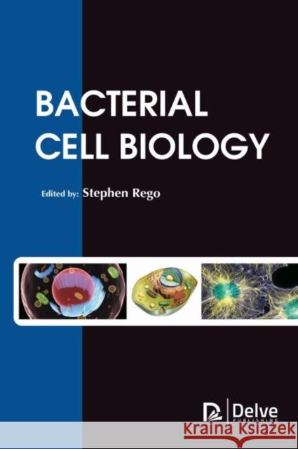 Bacterial Cell Biology Stephen Rego 9781773615356