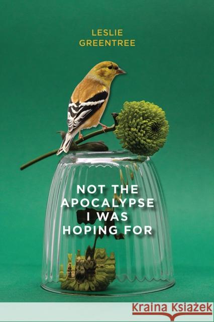 Not the Apocalypse I Was Hoping for Greentree, Leslie 9781773853697 University of Calgary Press