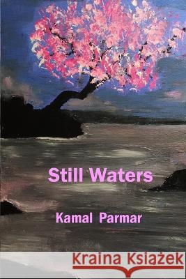 Still Waters Kamal Parmar 9781774031247 Silver Bow Publishing