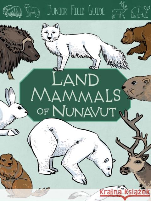 Junior Field Guide: Land Mammals: English Edition Jordan Hoffman Lenny Lishchenko 9781774500545 Inhabit Education Books Inc.