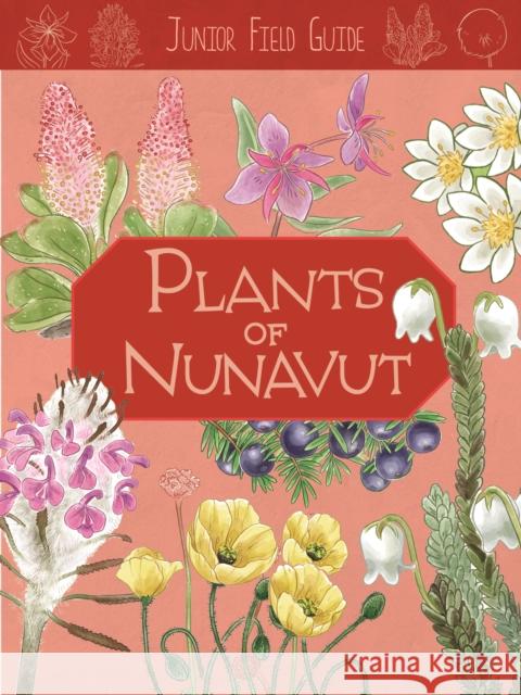 Junior Field Guide: Plants of Nunavut: English Edition Carolyn Mallory Amanda Sandland 9781774502884 Inhabit Education Books Inc.