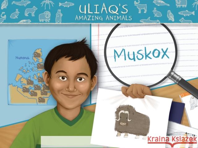 Uliaq's Amazing Animals: Muskox: English Edition Danny Christopher Amiel Sandland 9781774504628 Inhabit Education Books Inc.