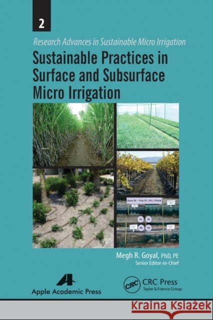Sustainable Practices in Surface and Subsurface Micro Irrigation Megh R. Goyal 9781774633380 Apple Academic Press