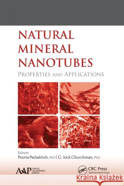 Natural Mineral Nanotubes: Properties and Applications Pooria Pasbakhsh G. Jock Churchman 9781774633670 Apple Academic Press