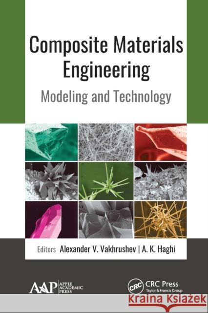 Composite Materials Engineering: Modeling and Technology Alexander V. Vakhrushev A. K. Haghi 9781774634721 Apple Academic Press