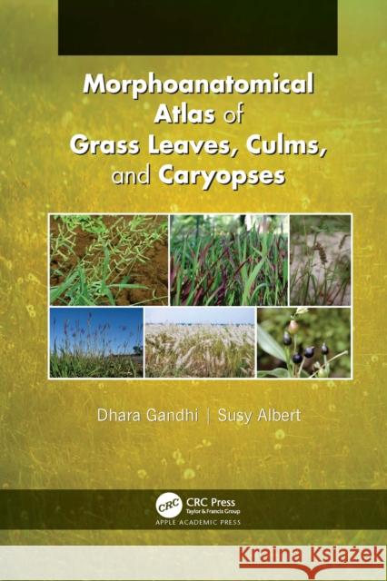 Morphoanatomical Atlas of Grass Leaves, Culms, and Caryopses Dhara Gandhi Susy Albert 9781774639634