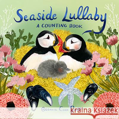 Seaside Lullaby Briana Cor 9781774713082 Nimbus Publishing Limited