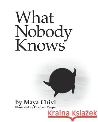 What Nobody Knows Maya Chivi 9781775152224 Maya Chivi