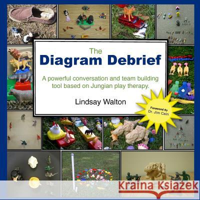 The Diagram Debrief Lindsay Walton 9781775327639