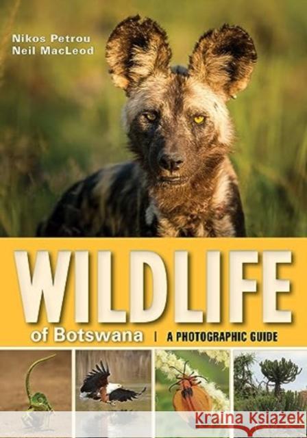 Wildlife of Botswana: A Photographic Guide Neil Macleod 9781775841098 Penguin Random House South Africa