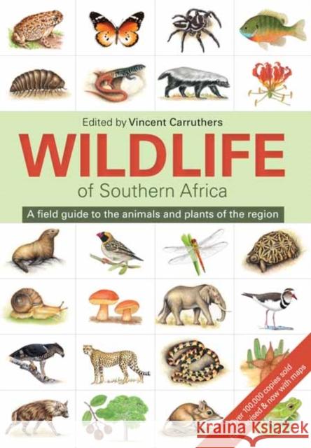 The Wildlife of Southern Africa Vincent Carruthers 9781775843535 Penguin Random House South Africa