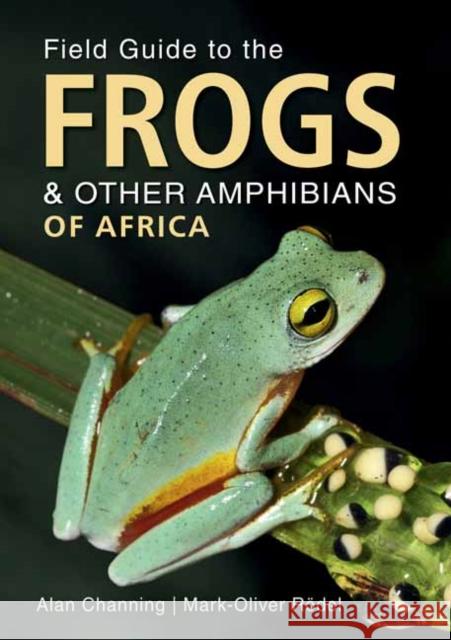 Field Guide to Frogs and Other Amphibians of Africa Mark-Oliver Roedel 9781775845126