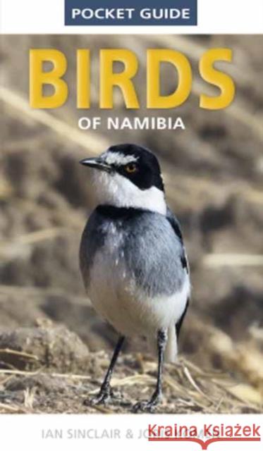 Pocket Guide to Birds of Namibia Ian Sinclair 9781775845225 Penguin Random House South Africa