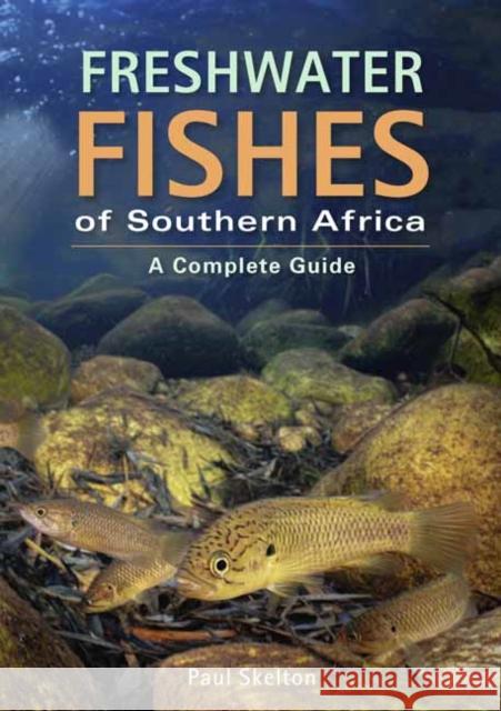 Freshwater Fishes of Southern Africa: A Complete Guide Paul Skelton 9781775845317 Penguin Random House South Africa