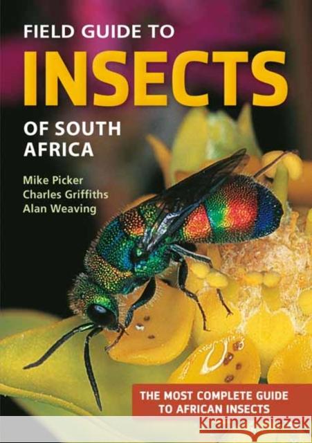 Field Guide to Insects of South Africa Charles Griffiths 9781775845843 Penguin Random House South Africa