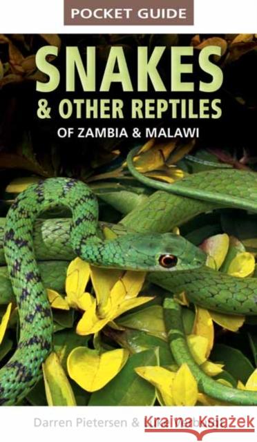 Pocket Guide to Snakes & Other Reptiles of Zambia and Malawi Darren Pietersen Luke Verburgt 9781775847168 Penguin Random House South Africa