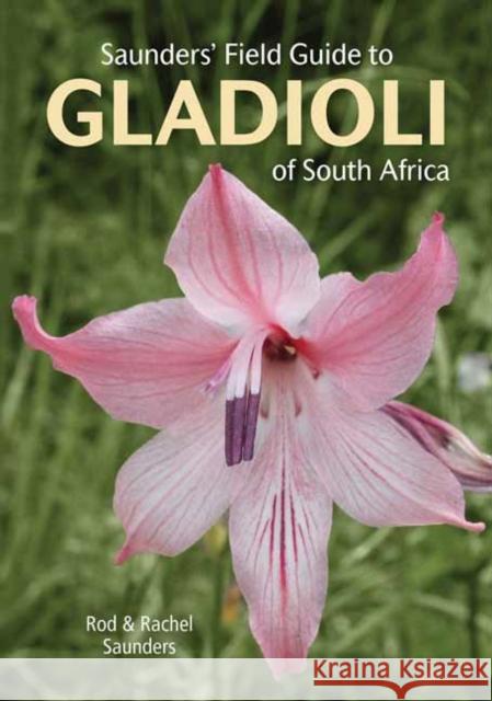 Saunders’ Field Guide to Gladioli of South Africa Rachel Saunders 9781775847618 Penguin Random House South Africa