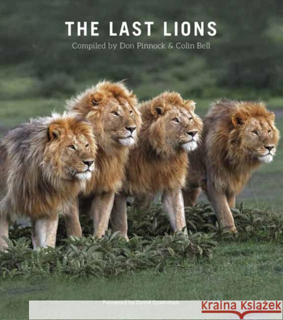 The Last Lions Don Pinnock 9781775848097 Penguin Random House South Africa