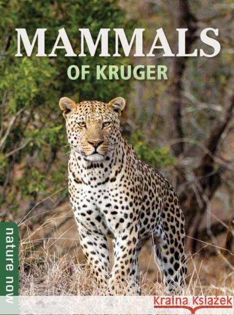 Mammals of Kruger Joan Young 9781775848196