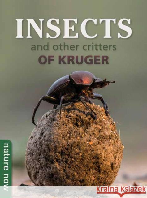 Insects and other Critters of Kruger Joan Young 9781775848219