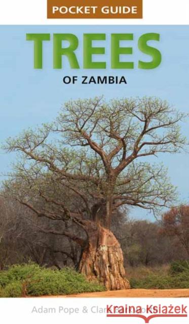 Pocket Guide Trees of Zambia Adam Pope 9781775848455