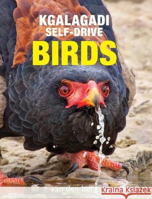 Kgalagadi Self-Drive Birds Philip And Ingrid Va 9781776433261 HPH Publishing