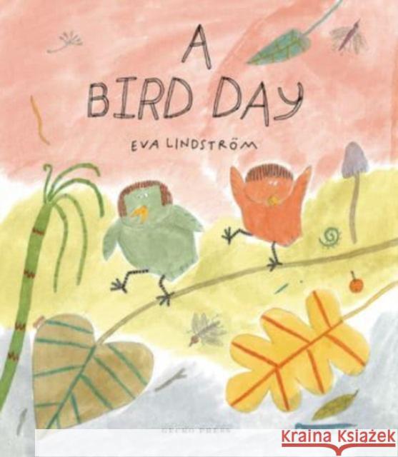 A Bird Day Eva Lindstr?m Eva Lindstr?m 9781776575275 Gecko Press