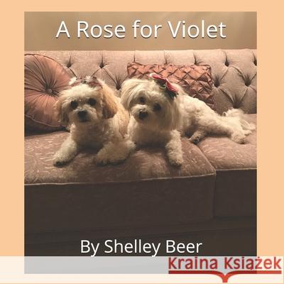 A Rose for Violet Shelley Beer 9781777200459