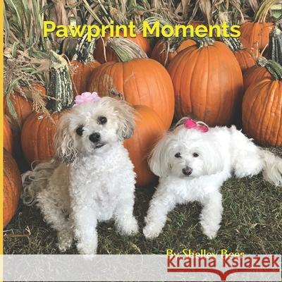 Pawprint Moments Shelley Beer 9781777200466