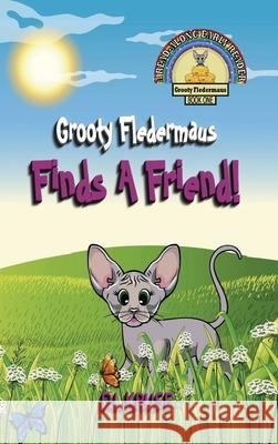 Grooty Fledermaus Finds A Friend!: A Read Along Early Reader For Children Ages 4-8 D. L. Kruse 9781777209643 Dream Quest Publishing