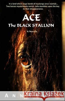 Ace, The Black Stallion Ann Feifel 9781777301514 Ann Feifel