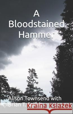 A Bloodstained Hammer Brian T Seifrit, Alison Townsend 9781777328085