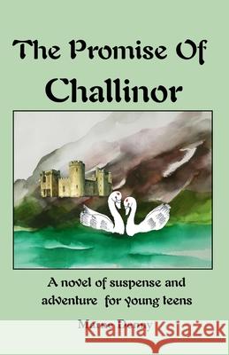 The Promise Of Challinor Marne Denny 9781777600136 Artois Books