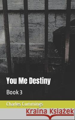 You Me Destiny: Book 3 Charles Cummings 9781777844325