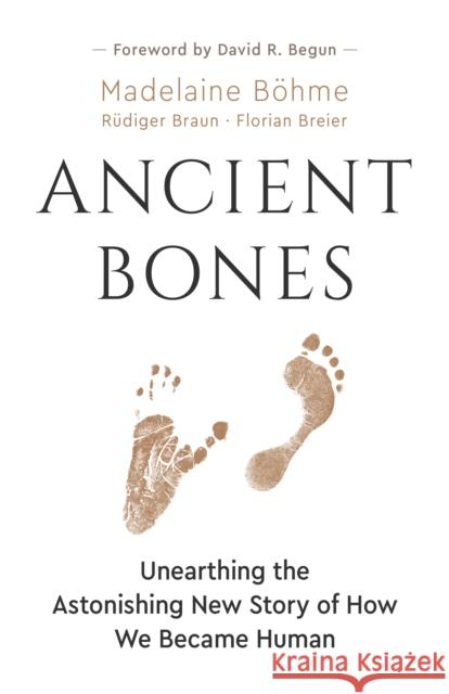 Ancient Bones: Unearthing the Astonishing New Story of How We Became Human B Jane Billinghurst R 9781778400315 Greystone Books,Canada