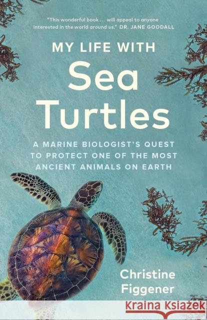 My Life with Sea Turtles: A Marine Biologist’s Quest to Protect One of the Most Ancient Animals on Earth Figgener, Christine 9781778400582 Greystone Books