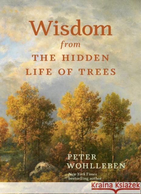 Wisdom from the Hidden Life of Trees Peter Wohlleben 9781778401404 Greystone Books