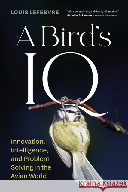 A Bird's IQ: Innovation, Learning, and Problem Solving in the Avian World Louis Lefebvre 9781778402647 Greystone Books