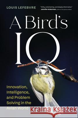 A Bird's IQ: Innovation, Learning, and Problem Solving in the Avian World  9781778402647 Greystone Books