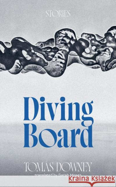 Diving Board Toms Downey 9781778430732 Invisible Publishing