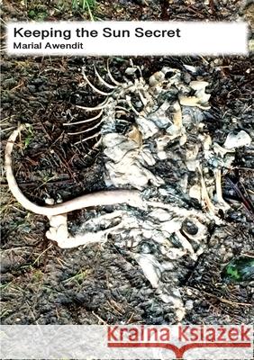 Keeping the Sun Secret: Poems Marial Awendit 9781779213334 Mwanaka Media and Publishing