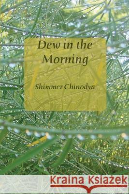 Dew in the Morning Shimmer Chinodya 9781779223517