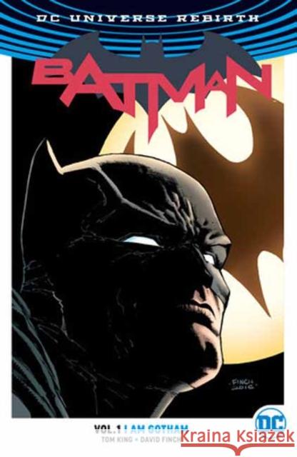 Batman Vol. 1: I Am Gotham (New Edition) Tom King Ivan Reis David Finch 9781779527677 DC Comics