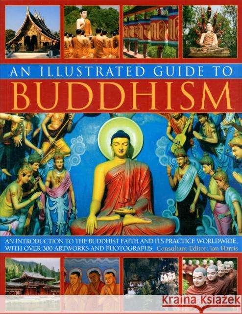 Illustrated Guide to Buddhism Ian Harris 9781780190235 Anness Publishing