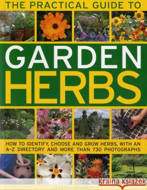 Practical Guide to Garden Herbs Jessica Houdret 9781780190839