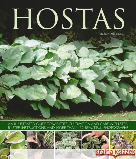 Hostas: an Illustrated Guide to Varieties, Cultivation and Care, with Step-by-step Instructions and More Than 130 Beautiful Photographs Andrew Mikolajski 9781780192383 Anness Publishing