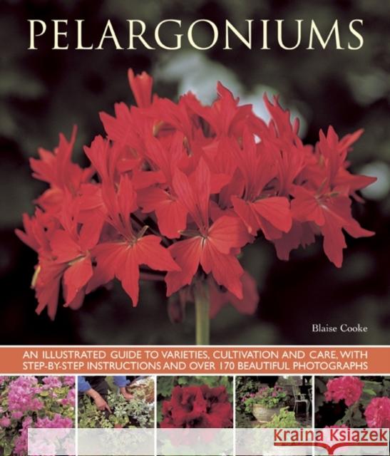 Pelargoniums Blaise Cooke 9781780192734 Anness Publishing